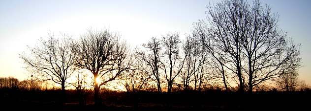 Sonnenaufgang über Ellerdorf